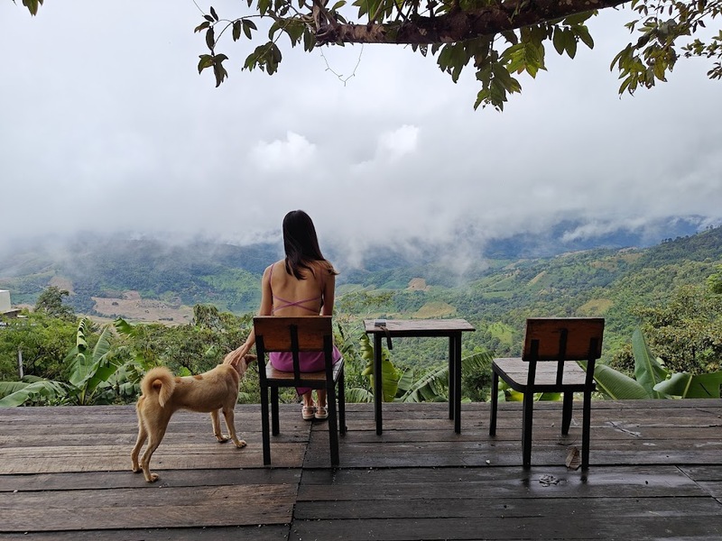 a daily, abonzo paradise, akha farm, akha farmville, akha phamio, cafe&039; lista, flow chiangsean, jadae house, kiengdoi cafe, kyoto shi cafe, kyoto shi cafe เชียงราย, laan-tim&039;s cafe, lalitta cafe, melt in your mouth, something journey, the bc2 cafe, yayo farm, คาเฟ่ดอยช้าง, คาเฟ่ดอยผาหมี, คาเฟ่เชียงราย, คาเฟ่เชียงราย 2023, คาเฟ่เชียงราย 2566, คาเฟ่เชียงราย ธรรมชาติ, คาเฟ่เชียงราย ใกล้สนามบิน, คาเฟ่เชียงราย ในเมือง, คาเฟ่ใกล้ฉัน, ทุ่งเคียงดอย, สวนคุณปู่, สวนคุณปู่ life museum, อาข่า พามิโอ้, เมลท์ อิน ยัวร์ เม้าท์, top 20+ คาเฟ่เชียงราย [กรกฎาคม 2024] จิบกาแฟ พร้อมดื่มด่ำธรรมชาติสุดฟิน ที่ดินแดนเมืองเหนือ