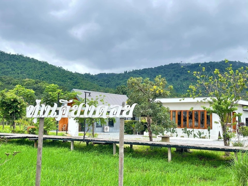 a daily, abonzo paradise, akha farm, akha farmville, akha phamio, cafe&039; lista, flow chiangsean, jadae house, kiengdoi cafe, kyoto shi cafe, kyoto shi cafe เชียงราย, laan-tim&039;s cafe, lalitta cafe, melt in your mouth, something journey, the bc2 cafe, yayo farm, คาเฟ่ดอยช้าง, คาเฟ่ดอยผาหมี, คาเฟ่เชียงราย, คาเฟ่เชียงราย 2023, คาเฟ่เชียงราย 2566, คาเฟ่เชียงราย ธรรมชาติ, คาเฟ่เชียงราย ใกล้สนามบิน, คาเฟ่เชียงราย ในเมือง, คาเฟ่ใกล้ฉัน, ทุ่งเคียงดอย, สวนคุณปู่, สวนคุณปู่ life museum, อาข่า พามิโอ้, เมลท์ อิน ยัวร์ เม้าท์, top 20+ คาเฟ่เชียงราย [กรกฎาคม 2024] จิบกาแฟ พร้อมดื่มด่ำธรรมชาติสุดฟิน ที่ดินแดนเมืองเหนือ
