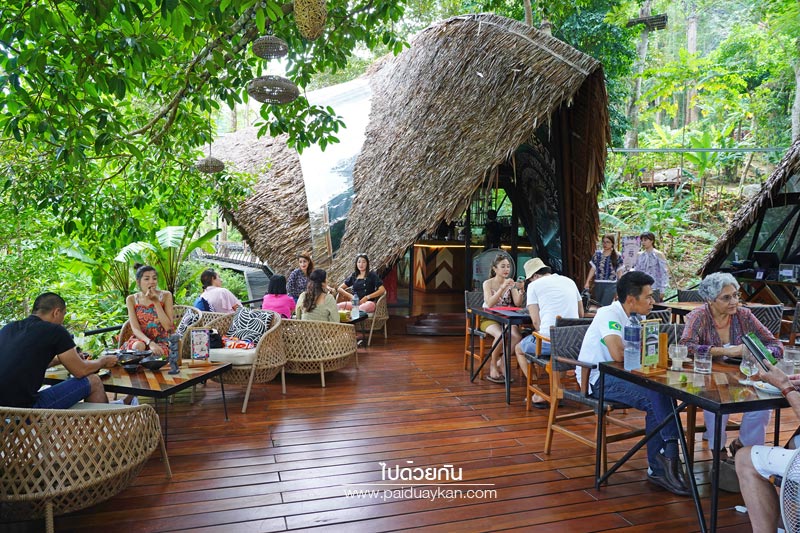 ภูเก็ต, เที่ยวภูเก็ต, tree monkeys ภูเก็ต, ร้านอาหารภูเก็ต, คาเฟ่ภูเก็ต, tree monkeys ภูเก็ต คาเฟ่ฮิบ ใจกลางป่า และธรรมชาติ