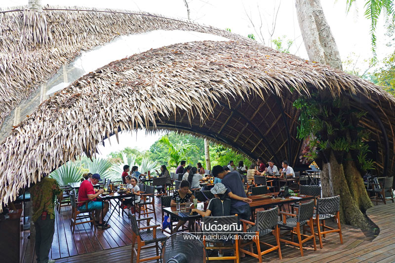 ภูเก็ต, เที่ยวภูเก็ต, tree monkeys ภูเก็ต, ร้านอาหารภูเก็ต, คาเฟ่ภูเก็ต, tree monkeys ภูเก็ต คาเฟ่ฮิบ ใจกลางป่า และธรรมชาติ