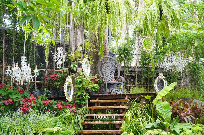 ภูเก็ต, เที่ยวภูเก็ต, tree monkeys ภูเก็ต, ร้านอาหารภูเก็ต, คาเฟ่ภูเก็ต, tree monkeys ภูเก็ต คาเฟ่ฮิบ ใจกลางป่า และธรรมชาติ