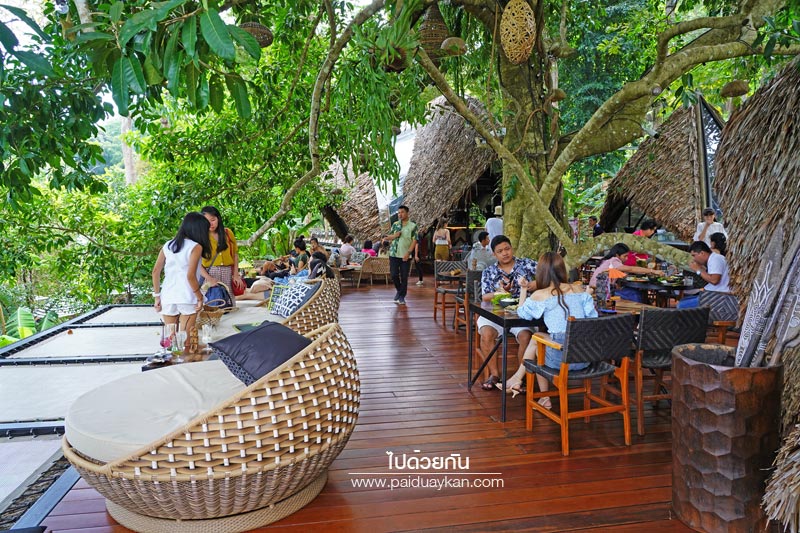 ภูเก็ต, เที่ยวภูเก็ต, tree monkeys ภูเก็ต, ร้านอาหารภูเก็ต, คาเฟ่ภูเก็ต, tree monkeys ภูเก็ต คาเฟ่ฮิบ ใจกลางป่า และธรรมชาติ