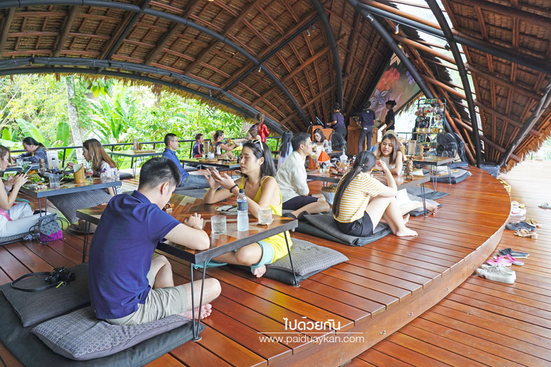 ภูเก็ต, เที่ยวภูเก็ต, tree monkeys ภูเก็ต, ร้านอาหารภูเก็ต, คาเฟ่ภูเก็ต, tree monkeys ภูเก็ต คาเฟ่ฮิบ ใจกลางป่า และธรรมชาติ