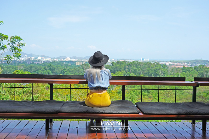 ภูเก็ต, เที่ยวภูเก็ต, tree monkeys ภูเก็ต, ร้านอาหารภูเก็ต, คาเฟ่ภูเก็ต, tree monkeys ภูเก็ต คาเฟ่ฮิบ ใจกลางป่า และธรรมชาติ