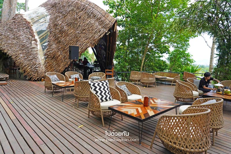 ภูเก็ต, เที่ยวภูเก็ต, tree monkeys ภูเก็ต, ร้านอาหารภูเก็ต, คาเฟ่ภูเก็ต, tree monkeys ภูเก็ต คาเฟ่ฮิบ ใจกลางป่า และธรรมชาติ