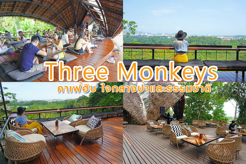 Tree monkeys ภูเก็ต คาเฟ่ฮิบ ใจกลางป่า และธรรมชาติ