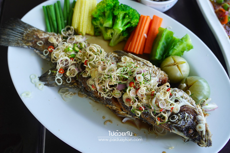ร้านมังกรทอ, นัดพบยูงทอง นราธิวาส, นราธิวาส, ร้านอาหารนราธิวาส, ร้านมันตรา นราธิวาส, ร้านอาหารเช้านราธิวาส, ร้านดีเด่น นราธิวาส, แซ่บผ่านหมอก, top 5+ ร้านเด็ดนราธิวาส หรอยอย่างแรง