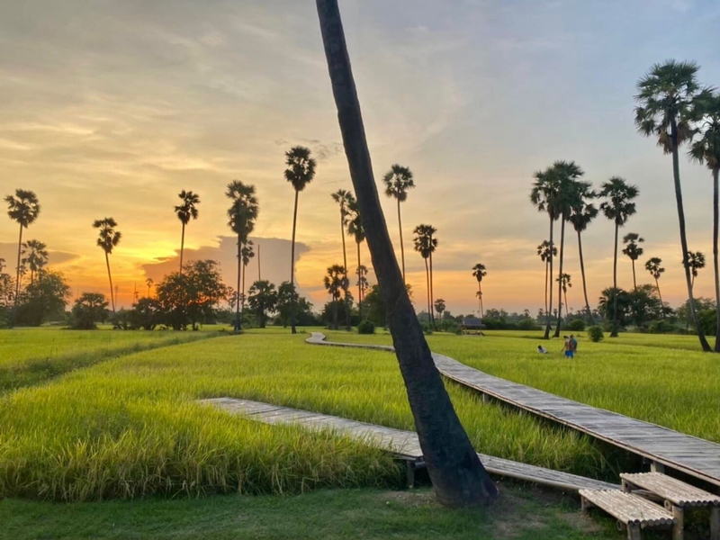 auntie's garden, auntie's garden cafe & restaurant, breadtory, cafe continue, continue cafe, curve caf&039;, gamble glamping, kanya cafe, kappu gamu cafe and game store, la miette, lamer cafe, lamer homecraft cafe, nitan cafe & garden, pumpkin art town, r house, ruedookarn cafe & cuisine, sunday in 345, the aileen cafe, three iconic, กัญญา คาเฟ่, คัปปุเกมมุ, คาเฟ่ ใกล้ฉัน, คาเฟ่ทะเลทราย, คาเฟ่ปทุม, คาเฟ่ปทุมธานี, คาเฟ่ปทุมธานี 2024, คาเฟ่ปทุมธานี 2567, คาเฟ่เปิดใหม่ ปทุมธานี, คาเฟ่ใกล้กรุงเทพ, คาเฟ่ใกล้ฉัน, ณ ปทุม คาเฟ่, ธรีไอคอนิค, นิทาน คาเฟ่, บ้าน ๑๐๐๐ ไม้, บ้านพันไม้ คาเฟ่, บ้านเชือก คาเฟ่, ยุ้ง ๗, ยุ้ง ๗ lifestyle & eatery, ร้านอาหารแกะกะบัว, ฤดูกาล คาเฟ่, ละเมอ คาเฟ่, ละเมียด คาเฟ่, แกะ กะ บัว, top 20+ คาเฟ่ปทุมธานี [กรกฎาคม 2024] บรรยากาศดี วิวสวย ถ่ายรูปปัง ไม่ไกลกรุงเทพ