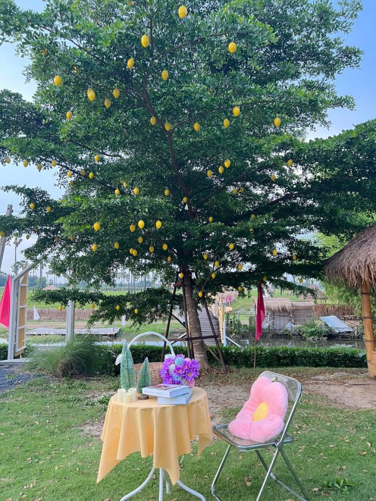 auntie's garden, auntie's garden cafe & restaurant, breadtory, cafe continue, continue cafe, curve caf&039;, gamble glamping, kanya cafe, kappu gamu cafe and game store, la miette, lamer cafe, lamer homecraft cafe, nitan cafe & garden, pumpkin art town, r house, ruedookarn cafe & cuisine, sunday in 345, the aileen cafe, three iconic, กัญญา คาเฟ่, คัปปุเกมมุ, คาเฟ่ ใกล้ฉัน, คาเฟ่ทะเลทราย, คาเฟ่ปทุม, คาเฟ่ปทุมธานี, คาเฟ่ปทุมธานี 2024, คาเฟ่ปทุมธานี 2567, คาเฟ่เปิดใหม่ ปทุมธานี, คาเฟ่ใกล้กรุงเทพ, คาเฟ่ใกล้ฉัน, ณ ปทุม คาเฟ่, ธรีไอคอนิค, นิทาน คาเฟ่, บ้าน ๑๐๐๐ ไม้, บ้านพันไม้ คาเฟ่, บ้านเชือก คาเฟ่, ยุ้ง ๗, ยุ้ง ๗ lifestyle & eatery, ร้านอาหารแกะกะบัว, ฤดูกาล คาเฟ่, ละเมอ คาเฟ่, ละเมียด คาเฟ่, แกะ กะ บัว, top 20+ คาเฟ่ปทุมธานี [กรกฎาคม 2024] บรรยากาศดี วิวสวย ถ่ายรูปปัง ไม่ไกลกรุงเทพ
