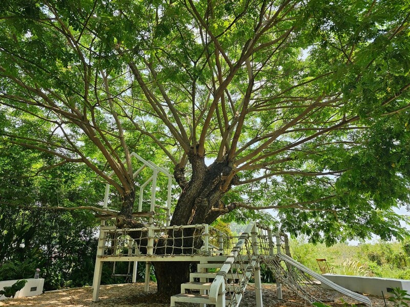 auntie's garden, auntie's garden cafe & restaurant, breadtory, cafe continue, continue cafe, curve caf&039;, gamble glamping, kanya cafe, kappu gamu cafe and game store, la miette, lamer cafe, lamer homecraft cafe, nitan cafe & garden, pumpkin art town, r house, ruedookarn cafe & cuisine, sunday in 345, the aileen cafe, three iconic, กัญญา คาเฟ่, คัปปุเกมมุ, คาเฟ่ ใกล้ฉัน, คาเฟ่ทะเลทราย, คาเฟ่ปทุม, คาเฟ่ปทุมธานี, คาเฟ่ปทุมธานี 2024, คาเฟ่ปทุมธานี 2567, คาเฟ่เปิดใหม่ ปทุมธานี, คาเฟ่ใกล้กรุงเทพ, คาเฟ่ใกล้ฉัน, ณ ปทุม คาเฟ่, ธรีไอคอนิค, นิทาน คาเฟ่, บ้าน ๑๐๐๐ ไม้, บ้านพันไม้ คาเฟ่, บ้านเชือก คาเฟ่, ยุ้ง ๗, ยุ้ง ๗ lifestyle & eatery, ร้านอาหารแกะกะบัว, ฤดูกาล คาเฟ่, ละเมอ คาเฟ่, ละเมียด คาเฟ่, แกะ กะ บัว, top 20+ คาเฟ่ปทุมธานี [กรกฎาคม 2024] บรรยากาศดี วิวสวย ถ่ายรูปปัง ไม่ไกลกรุงเทพ