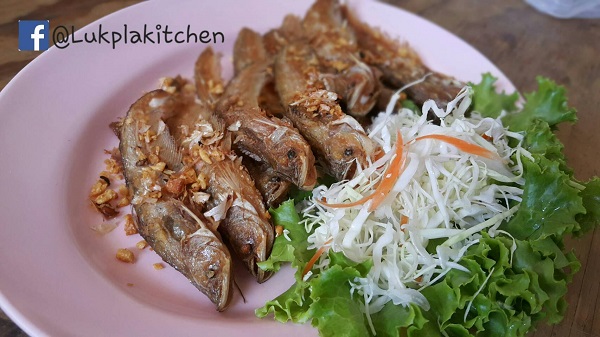 นครนายก, top 10+ ร้านอาหารนครนายก 2567 อร่อยถูกปาก ราคาถูกใจ