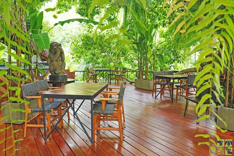 top 15+ คาเฟ่ภูเก็ตบรรยากาศดี : มีวิวทะเล ระวังพลาด ถ้าไม่มา!!