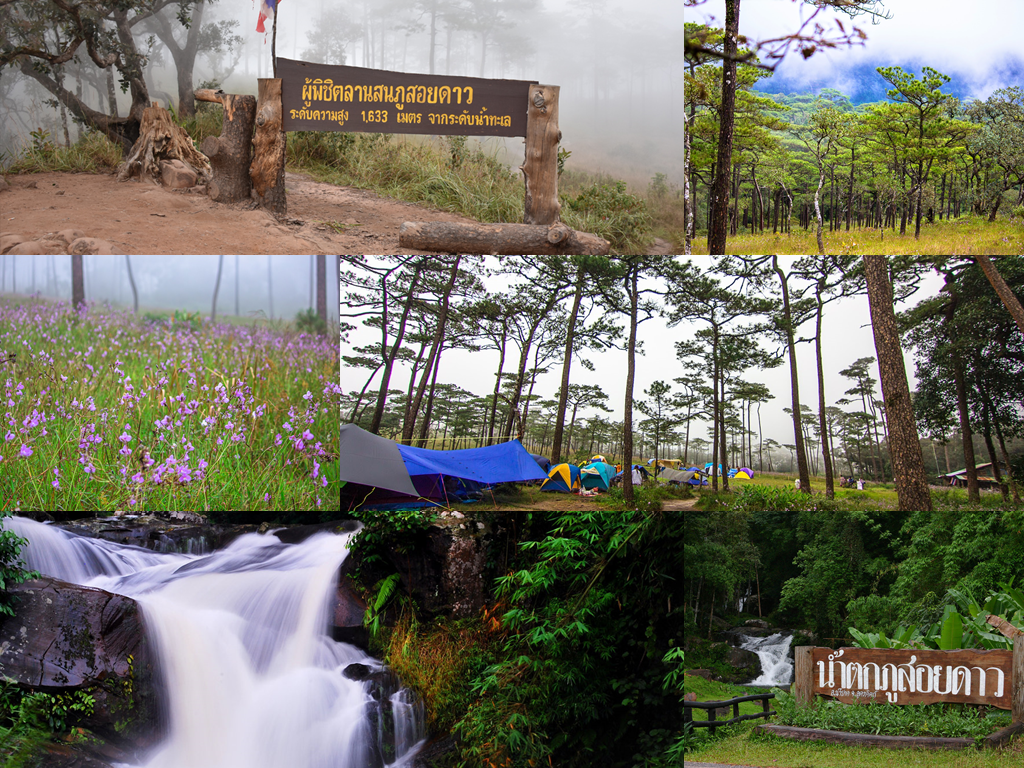 ดอยเสมอดาว, ที่พัก, น้ำตกห้วยแม่ขมิ้น, สถานที่แคมป์ปิ้ง, อุทยานแห่งชาติพุเตย, อุทยานแห่งชาติภูสอยดาว, อุทยานแห่งชาติศรีน่าน, แก่งกระจาน, top 8+ สถานที่แคมป์ปิ้งโดนๆ จุดกางเต้นท์ บรรยากาศดี บนพื้นที่อุทยานแห่งชาติของเมืองไทย