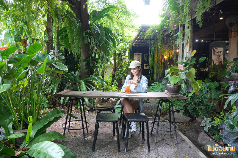 T&rsquo;taste. Khamriang อีกหนึ่งคาเฟ่บ้านไม้ ที่สายรักธรรมชาติต้องเลิฟ