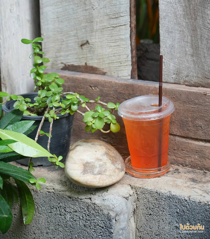 ทีเทสเต้ ขามเรียง, t taste khamriang, คาเฟ่มหาสารคาม, ร้านกาแฟมหาสารคาม, t’taste. khamriang อีกหนึ่งคาเฟ่บ้านไม้ ที่สายรักธรรมชาติต้องเลิฟ