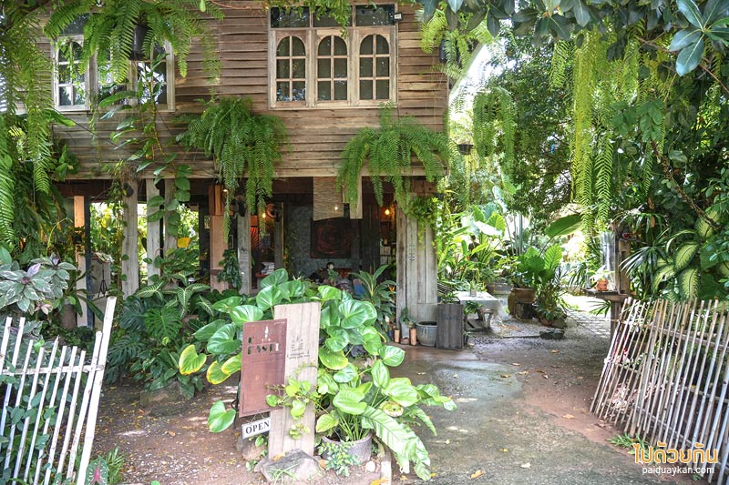 ทีเทสเต้ ขามเรียง, t taste khamriang, คาเฟ่มหาสารคาม, ร้านกาแฟมหาสารคาม, t’taste. khamriang อีกหนึ่งคาเฟ่บ้านไม้ ที่สายรักธรรมชาติต้องเลิฟ