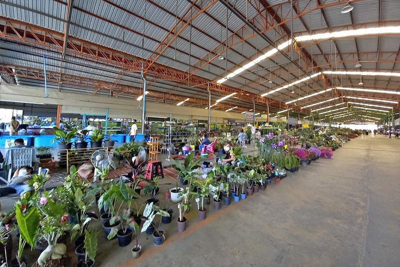 alpacahill, coro field, secret space, ตลาดน้ำดำเนินสะดวก, ถ้ำเขาบิน, ที่เที่ยว, ที่เที่ยวราชบุรี, ที่เที่ยวราชบุรี 2024, ที่เที่ยวราชบุรี 2567, ราชบุรี, วัดพระคริสตหฤทัย, วัดหนองหอย, วัดเพลง, วินเทจฟาร์ม, สถานที่ท่องเที่ยว, อัลปาก้าฮิลล์, อุทยานหินเขางู, เดอะซีนเนอรี่, เถ้าฮงไถ่, เที่ยวจังหวัดราชบุรี, เที่ยวราชบุรี, เที่ยวราชบุรี 2024, เที่ยวราชบุรี 2567, เที่ยวแม่น้ำแม่กลอง, เที่ยวใกล้กรุงเทพ, แก่งส้มแมว, โคโร่ ฟิลด์, top 30+ ที่เที่ยวราชบุรี [กรกฎาคม2024] เมืองน่าเที่ยว มนต์เสน่ห์แห่งลุ่มแม่น้ำแม่กลอง