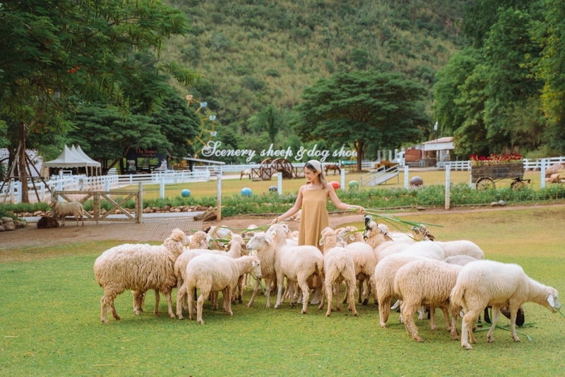 alpacahill, coro field, secret space, ตลาดน้ำดำเนินสะดวก, ถ้ำเขาบิน, ที่เที่ยว, ที่เที่ยวราชบุรี, ที่เที่ยวราชบุรี 2024, ที่เที่ยวราชบุรี 2567, ราชบุรี, วัดพระคริสตหฤทัย, วัดหนองหอย, วัดเพลง, วินเทจฟาร์ม, สถานที่ท่องเที่ยว, อัลปาก้าฮิลล์, อุทยานหินเขางู, เดอะซีนเนอรี่, เถ้าฮงไถ่, เที่ยวจังหวัดราชบุรี, เที่ยวราชบุรี, เที่ยวราชบุรี 2024, เที่ยวราชบุรี 2567, เที่ยวแม่น้ำแม่กลอง, เที่ยวใกล้กรุงเทพ, แก่งส้มแมว, โคโร่ ฟิลด์, top 30+ ที่เที่ยวราชบุรี [กรกฎาคม2024] เมืองน่าเที่ยว มนต์เสน่ห์แห่งลุ่มแม่น้ำแม่กลอง