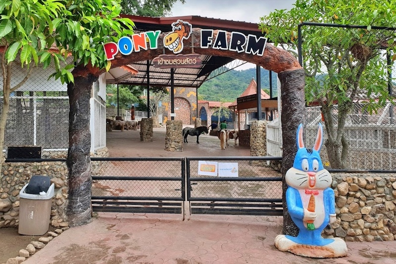 alpacahill, coro field, secret space, ตลาดน้ำดำเนินสะดวก, ถ้ำเขาบิน, ที่เที่ยว, ที่เที่ยวราชบุรี, ที่เที่ยวราชบุรี 2024, ที่เที่ยวราชบุรี 2567, ราชบุรี, วัดพระคริสตหฤทัย, วัดหนองหอย, วัดเพลง, วินเทจฟาร์ม, สถานที่ท่องเที่ยว, อัลปาก้าฮิลล์, อุทยานหินเขางู, เดอะซีนเนอรี่, เถ้าฮงไถ่, เที่ยวจังหวัดราชบุรี, เที่ยวราชบุรี, เที่ยวราชบุรี 2024, เที่ยวราชบุรี 2567, เที่ยวแม่น้ำแม่กลอง, เที่ยวใกล้กรุงเทพ, แก่งส้มแมว, โคโร่ ฟิลด์, top 30+ ที่เที่ยวราชบุรี [กรกฎาคม2024] เมืองน่าเที่ยว มนต์เสน่ห์แห่งลุ่มแม่น้ำแม่กลอง