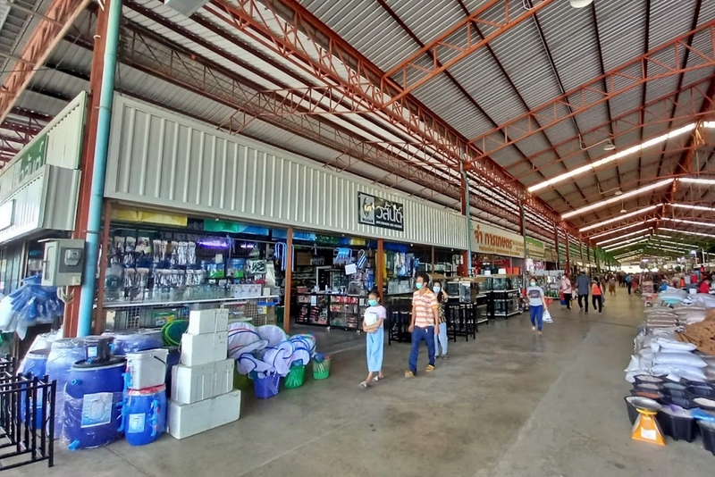 alpacahill, coro field, secret space, ตลาดน้ำดำเนินสะดวก, ถ้ำเขาบิน, ที่เที่ยว, ที่เที่ยวราชบุรี, ที่เที่ยวราชบุรี 2024, ที่เที่ยวราชบุรี 2567, ราชบุรี, วัดพระคริสตหฤทัย, วัดหนองหอย, วัดเพลง, วินเทจฟาร์ม, สถานที่ท่องเที่ยว, อัลปาก้าฮิลล์, อุทยานหินเขางู, เดอะซีนเนอรี่, เถ้าฮงไถ่, เที่ยวจังหวัดราชบุรี, เที่ยวราชบุรี, เที่ยวราชบุรี 2024, เที่ยวราชบุรี 2567, เที่ยวแม่น้ำแม่กลอง, เที่ยวใกล้กรุงเทพ, แก่งส้มแมว, โคโร่ ฟิลด์, top 30+ ที่เที่ยวราชบุรี [กรกฎาคม2024] เมืองน่าเที่ยว มนต์เสน่ห์แห่งลุ่มแม่น้ำแม่กลอง