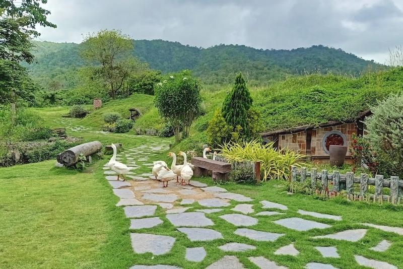 alpacahill, coro field, secret space, ตลาดน้ำดำเนินสะดวก, ถ้ำเขาบิน, ที่เที่ยว, ที่เที่ยวราชบุรี, ที่เที่ยวราชบุรี 2024, ที่เที่ยวราชบุรี 2567, ราชบุรี, วัดพระคริสตหฤทัย, วัดหนองหอย, วัดเพลง, วินเทจฟาร์ม, สถานที่ท่องเที่ยว, อัลปาก้าฮิลล์, อุทยานหินเขางู, เดอะซีนเนอรี่, เถ้าฮงไถ่, เที่ยวจังหวัดราชบุรี, เที่ยวราชบุรี, เที่ยวราชบุรี 2024, เที่ยวราชบุรี 2567, เที่ยวแม่น้ำแม่กลอง, เที่ยวใกล้กรุงเทพ, แก่งส้มแมว, โคโร่ ฟิลด์, top 30+ ที่เที่ยวราชบุรี [กรกฎาคม2024] เมืองน่าเที่ยว มนต์เสน่ห์แห่งลุ่มแม่น้ำแม่กลอง