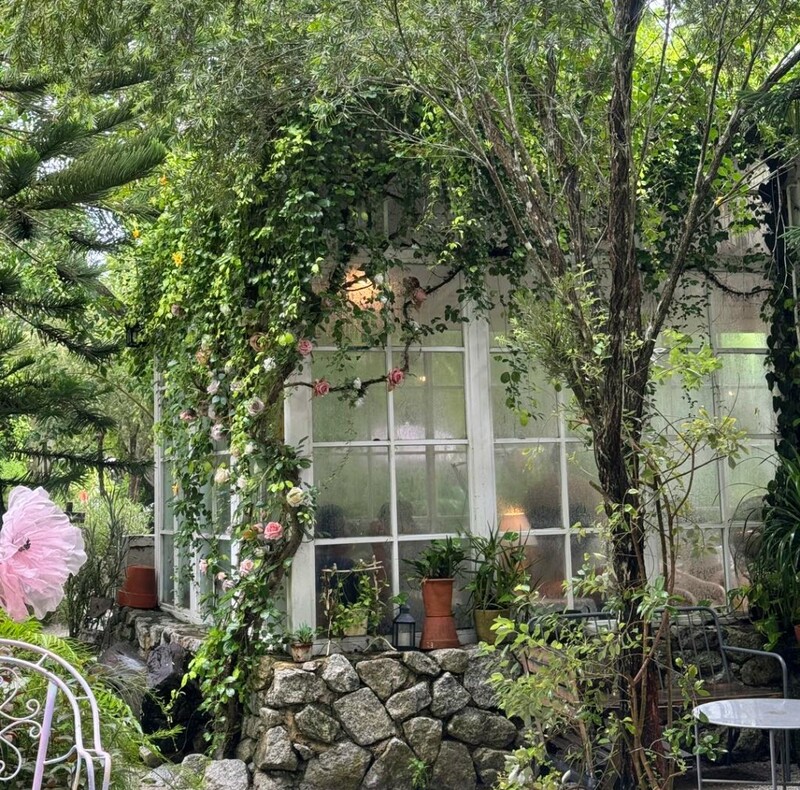bake and more, bellinee’s rayong, guer cafe, happy camper rayong, happy camper คาเฟ่, mama don’t like espresso bar & bake lab, mhuan fun cafe & art, misahouse, phala craft coffee roasters, seaseoul cafe, she sails cafe & beach club, she sails rayong, the creeper house, triple o coffee, u cup coffee, คาเฟ่ระยอง, คาเฟ่ระยอง 2024, คาเฟ่ระยอง 2567, คาเฟ่ริมทะเล ระยอง, คาเฟ่เปิดใหม่ ระยอง, คาเฟ่ใกลฉัน, ซีโซล คาเฟ่, ปาฎี, มาม่า ดอนท์ ไลท์ คาเฟ่, มิสะเฮ้าท์, ระยอง 2024, ระยอง 2567, ระยอง คาเฟ่, ร้านปาฎี, ร้านเกื้อ, สวนก๋ง, เที่ยวระยอง, เบค แอนด์ มอร์ คาเฟ่, เบลลินี่ ระยอง, เหมือนฝัน คาเฟ่, top 15+ คาเฟ่ระยอง [กรกฎาคม 2024] นั่งจิบชากาแฟ ทานเบเกอรี่ ดื่มด่ำธรรมชาติ รับลมริมทะเล