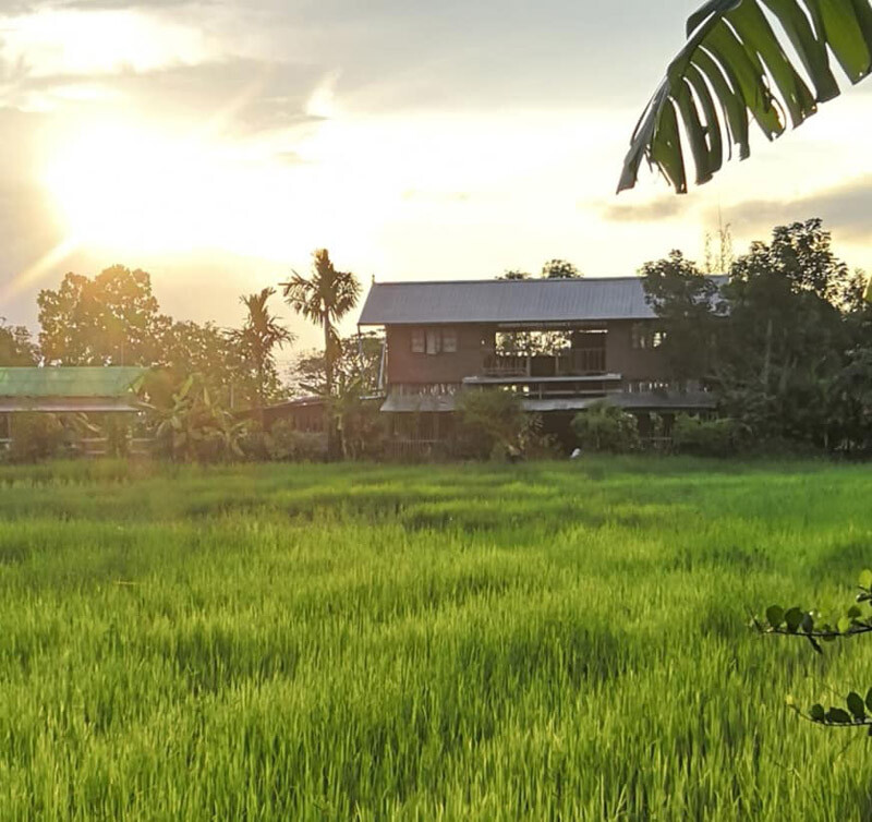 top 10+ คาเฟ่สุรินทร์ 2567 คาเฟ่ทุ่งนาสุรินทร์ บรรยากาศดี วิวสุดปัง ถ่ายรูปสวย