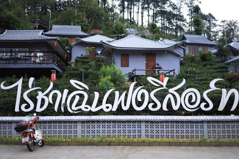 top 15+ ที่พักบ้านรักไทย แม่ฮ่องสอน สัมผัสธรรมชาติ ท่ามกลางไร่ชาและสายหมอก