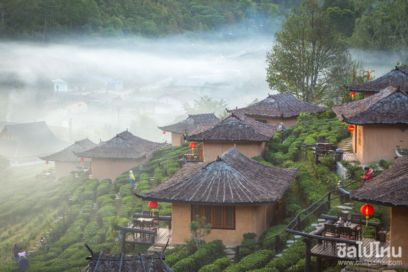 top 15+ ที่พักบ้านรักไทย แม่ฮ่องสอน สัมผัสธรรมชาติ ท่ามกลางไร่ชาและสายหมอก