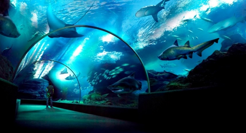 artist house bangkok, asiatique, asiatique the riverfront destination, asoke station, bacc, bang phai station, bangkok art and culture centre, bangpu recreation center, benchakitti park, bts train lines, chalermla park street art, charoen nakhon station, chatuchak park station, chatuchak weekend market, china town, danneramit amusement park, iconsiam, itsaraphap station, jodd fairs, jodd fairs danneramit, kasetsart station, kheha station, mo chit station, moca, mrt train lines, museum of contemporary art, national convention center, national stadium station, phahon yothin 24, phra buddha dhammakaya thepmongkol, places near the bts and mrt, ratchathewi station, saphan taksin station, sea life bangkok, sea life bangkok ocean world, siam station, sri maha mariamman temple, street art สวนเฉลิมหล้า, sukhumvit station, surasak station, talat phlu station, van gogh alive, vincent van gogh, wanglang market, wat mangkon station, wat paknam bhasicharoen, yaowarat, จ๊อดแฟร์, จ๊อดแฟร์แดนเนรมิต, ตลาดนัดจตุจักร, ตลาดวังหลัง, ที่เที่ยวกรุงเทพ, ที่เที่ยวใกล้ bts, ที่เที่ยวใกล้ bts 2023, ที่เที่ยวใกล้ bts 2556, ที่เที่ยวใกล้ mrt 2023, ที่เที่ยวใกล้ mrt 2566, ที่เที่ยวใกล้รถไฟฟ้า, ที่เที่ยวใกล้รถไฟฟ้า 2023, ที่เที่ยวใกล้รถไฟฟ้า 2566, บ้านศิลปิน คลองบางหลวง, พิพิธภัณฑ์ศิลปะไทยร่วมสมัย, วัดปากน้ำภาษีเจริญ, วัดพระศรีมหาอุมาเทวี, วัดแขก สีลม, สถานตากอากาศบางปู, สวนจตุจักร, สวนเบญจกิติ, หอศิลป์กรุงเทพ, เยาวราช, เอเชียทีค, ไอคอนสยาม, top 15+ ที่เที่ยวใกล้รถไฟฟ้า bts และ mrt 2024 สถานที่ยอดฮิตของชาวกรุง ที่ไม่ควรพลาด