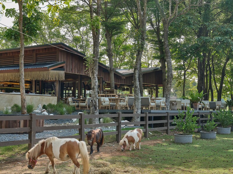 baan zaka cafe, daydreaming cafe, khaam khaoyai, like a mountain, pirom cafe, rosebay home cooking café, tara cafe, the birder’s lodge cafe, the birder’s lodge café & grill, the creek, the creek khao yai, trot cafe khaoyai, yellow submarine coffee tank, ขาม เขาใหญ่, คาเฟ่ปากช่อง, คาเฟ่เขาใหญ่, คาเฟ่เขาใหญ่ 2024, คาเฟ่เขาใหญ่ 2567, คาเฟ่เขาใหญ่สวย ๆ, ทร็อต คาเฟ่ เขาใหญ่, ทาราคาเฟ่, ธารา คาเฟ่ เขาใหญ่, บ้านซาก้า ปากช่อง, บ้านซาก้า เขาใหญ่, บ้านนอก คาเฟ่, บ้านนอกคอกนา, บ้านนอกคอกนา เขาใหญ่, ภิรมณ์ คาเฟ่, เดย์ดรีมมิ่ง เขาใหญ่, เดอะครีก ปากช่อง, เดอะครีก เขาใหญ่, เอล คาเฟ่ เขาใหญ่, top 20+ คาเฟ่ เขาใหญ่-ปากช่อง [กรกฎาคม 2024] น่านั่ง บรรยากาศดี ถ่ายรูปสวย