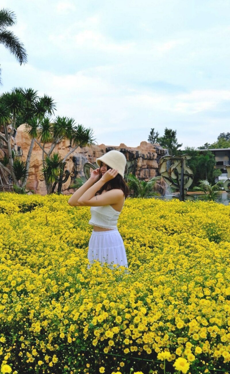 baan zaka cafe, daydreaming cafe, khaam khaoyai, like a mountain, pirom cafe, rosebay home cooking café, tara cafe, the birder’s lodge cafe, the birder’s lodge café & grill, the creek, the creek khao yai, trot cafe khaoyai, yellow submarine coffee tank, ขาม เขาใหญ่, คาเฟ่ปากช่อง, คาเฟ่เขาใหญ่, คาเฟ่เขาใหญ่ 2024, คาเฟ่เขาใหญ่ 2567, คาเฟ่เขาใหญ่สวย ๆ, ทร็อต คาเฟ่ เขาใหญ่, ทาราคาเฟ่, ธารา คาเฟ่ เขาใหญ่, บ้านซาก้า ปากช่อง, บ้านซาก้า เขาใหญ่, บ้านนอก คาเฟ่, บ้านนอกคอกนา, บ้านนอกคอกนา เขาใหญ่, ภิรมณ์ คาเฟ่, เดย์ดรีมมิ่ง เขาใหญ่, เดอะครีก ปากช่อง, เดอะครีก เขาใหญ่, เอล คาเฟ่ เขาใหญ่, top 20+ คาเฟ่ เขาใหญ่-ปากช่อง [กรกฎาคม 2024] น่านั่ง บรรยากาศดี ถ่ายรูปสวย