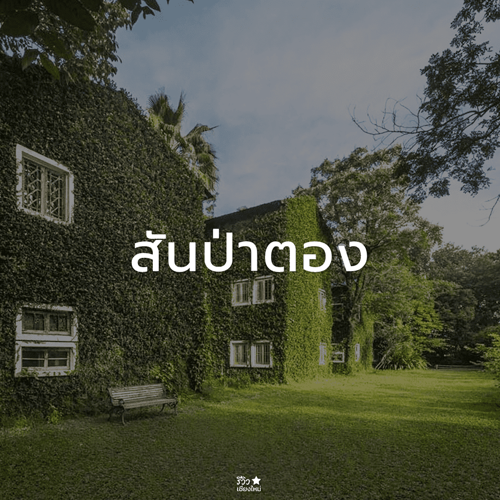 กัลยาณิวัฒนา, ดอยสุเทพ, ดอยอินทนนท์, ดอยเต่า, ที่เที่ยว ดอยสะเก็ด, ที่เที่ยวเชียงใหม่, พร้าว, สันกำแพง, สันป่าตอง, สารภี, หางดง เชียงใหม่, อมก๋อย, ฮอด, เที่ยวเชียงใหม่, แม่ริม, แม่วาง เชียงใหม่, แม่แจ่ม, แม่แตง, ไชยปราการ, ที่เที่ยวเชียงใหม่ ลายแทง พิกัดเด็ดจัดเต็ม อัปเดต 2024