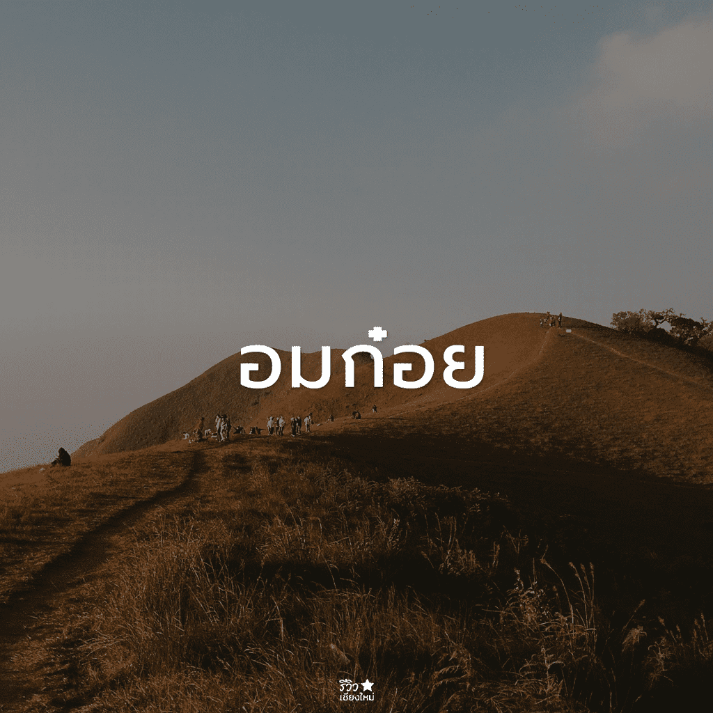 กัลยาณิวัฒนา, ดอยสุเทพ, ดอยอินทนนท์, ดอยเต่า, ที่เที่ยว ดอยสะเก็ด, ที่เที่ยวเชียงใหม่, พร้าว, สันกำแพง, สันป่าตอง, สารภี, หางดง เชียงใหม่, อมก๋อย, ฮอด, เที่ยวเชียงใหม่, แม่ริม, แม่วาง เชียงใหม่, แม่แจ่ม, แม่แตง, ไชยปราการ, ที่เที่ยวเชียงใหม่ ลายแทง พิกัดเด็ดจัดเต็ม อัปเดต 2024