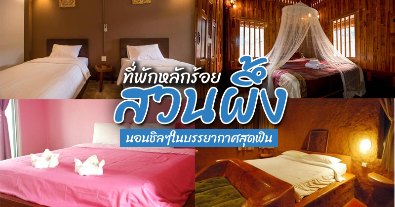 1. เรือนสำราญ รีสอร์ท สวนผึ้ง, 2. ม็องละวิน, 3. บ้านกรชมพู, 4. บ้านชมจันทร์ ณ สวนผึ้ง, 5. บ้านไม้สวนผึ้ง, 6. ล้อมรัก รีสอร์ท, Top 6+ ที่พักสวนผึ้งราคาถูก ราคาหลักร้อย นอนชิลๆในบรรยากาศสุดฟิน