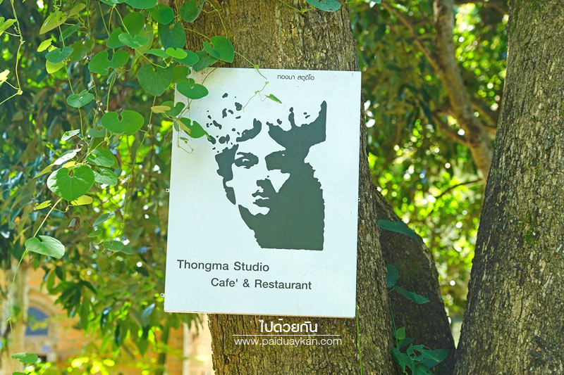 ม่อนแจ่ม, ร้านกาแฟม่อนแจ่ม, คาเฟ่ม่อนแจ่ม, thongma studio, คาเฟ่แม่ริม, thongma studio คาเฟ่ฮิปกลางป่า ย่านแม่ริม
