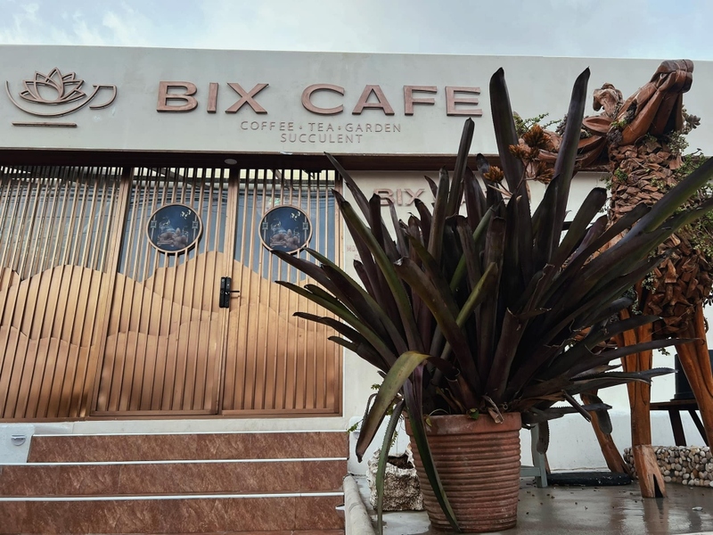[hkolu8ik, ban leng coffee, bangjiam backyard cafe, bix cafe, cafe phuket, campus coffee roaster, cheevit cheeva, coming home cafe, coming home cafe & seascape, cozy cafe phuket, day & night of phuket, hohiho phuket, hohiho restaurant & cafe phuket, hommori, hosay bowl, hosay bowl phuket town, jule cafe, jule coffee co, lay cafe phuket, ma doo bua cafe, phuket view point cafe, pink cafe phuket, refresh cafe, roôf pudding & cafe, samutr bar, sea clam cafe & bistro, smile bar, smile restaurant, starbucks arinara, tarzan seaside cafe, the beach by starbucks, the cozy cafe phuket, the ruby sea cafe, tree monkeys restaurant, waylany kids cafe, คาเฟ่ สี, คาเฟ่ ใกล้ฉัน, คาเฟ่จังหวัดภูเก็ต, คาเฟ่ต้นไม้, คาเฟ่ภูเก็ต, คาเฟ่ภูเก็ต 2023, คาเฟ่ภูเก็ต 2566, คาเฟ่ริมทะเลภูเก็ต, คาเฟ่ลับภูเก็ต, คาเฟ่เปิดใหม่, คาเฟ่เปิดใหม่ภูเก็ต, คาเฟ่ใกล้ฉัน, คาเฟ่ในภูเก็ต, คาเฟ่ในภูเก็ต 2023, คาเฟ่ในภูเก็ต 2566, ชีวิตชีวา คาเฟ่, ทรีมังกี้ส์, บ้านสีครามคาเฟ่, บ้านเลงคาเฟ่, ภูเก็ต, มาดูบัว คาเฟ่, ย่านเมืองเก่าภูเก็ต, สตาร์บัคริมทะเล, สมุทรบาร์, โฮมโมริ, top 25+ คาเฟ่ภูเก็ต [กรกฎาคม 2024] ชิมอาหารรสเด็ด ดื่มกาแฟดี ท่ามกลางบรรยากาศสุดชิลล์บนเกาะ