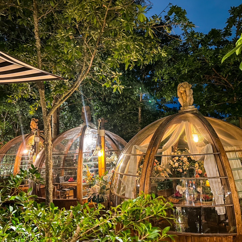 [hkolu8ik, ban leng coffee, bangjiam backyard cafe, bix cafe, cafe phuket, campus coffee roaster, cheevit cheeva, coming home cafe, coming home cafe & seascape, cozy cafe phuket, day & night of phuket, hohiho phuket, hohiho restaurant & cafe phuket, hommori, hosay bowl, hosay bowl phuket town, jule cafe, jule coffee co, lay cafe phuket, ma doo bua cafe, phuket view point cafe, pink cafe phuket, refresh cafe, roôf pudding & cafe, samutr bar, sea clam cafe & bistro, smile bar, smile restaurant, starbucks arinara, tarzan seaside cafe, the beach by starbucks, the cozy cafe phuket, the ruby sea cafe, tree monkeys restaurant, waylany kids cafe, คาเฟ่ สี, คาเฟ่ ใกล้ฉัน, คาเฟ่จังหวัดภูเก็ต, คาเฟ่ต้นไม้, คาเฟ่ภูเก็ต, คาเฟ่ภูเก็ต 2023, คาเฟ่ภูเก็ต 2566, คาเฟ่ริมทะเลภูเก็ต, คาเฟ่ลับภูเก็ต, คาเฟ่เปิดใหม่, คาเฟ่เปิดใหม่ภูเก็ต, คาเฟ่ใกล้ฉัน, คาเฟ่ในภูเก็ต, คาเฟ่ในภูเก็ต 2023, คาเฟ่ในภูเก็ต 2566, ชีวิตชีวา คาเฟ่, ทรีมังกี้ส์, บ้านสีครามคาเฟ่, บ้านเลงคาเฟ่, ภูเก็ต, มาดูบัว คาเฟ่, ย่านเมืองเก่าภูเก็ต, สตาร์บัคริมทะเล, สมุทรบาร์, โฮมโมริ, top 25+ คาเฟ่ภูเก็ต [กรกฎาคม 2024] ชิมอาหารรสเด็ด ดื่มกาแฟดี ท่ามกลางบรรยากาศสุดชิลล์บนเกาะ