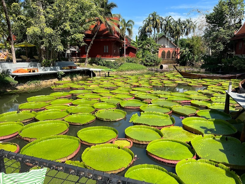 [hkolu8ik, ban leng coffee, bangjiam backyard cafe, bix cafe, cafe phuket, campus coffee roaster, cheevit cheeva, coming home cafe, coming home cafe & seascape, cozy cafe phuket, day & night of phuket, hohiho phuket, hohiho restaurant & cafe phuket, hommori, hosay bowl, hosay bowl phuket town, jule cafe, jule coffee co, lay cafe phuket, ma doo bua cafe, phuket view point cafe, pink cafe phuket, refresh cafe, roôf pudding & cafe, samutr bar, sea clam cafe & bistro, smile bar, smile restaurant, starbucks arinara, tarzan seaside cafe, the beach by starbucks, the cozy cafe phuket, the ruby sea cafe, tree monkeys restaurant, waylany kids cafe, คาเฟ่ สี, คาเฟ่ ใกล้ฉัน, คาเฟ่จังหวัดภูเก็ต, คาเฟ่ต้นไม้, คาเฟ่ภูเก็ต, คาเฟ่ภูเก็ต 2023, คาเฟ่ภูเก็ต 2566, คาเฟ่ริมทะเลภูเก็ต, คาเฟ่ลับภูเก็ต, คาเฟ่เปิดใหม่, คาเฟ่เปิดใหม่ภูเก็ต, คาเฟ่ใกล้ฉัน, คาเฟ่ในภูเก็ต, คาเฟ่ในภูเก็ต 2023, คาเฟ่ในภูเก็ต 2566, ชีวิตชีวา คาเฟ่, ทรีมังกี้ส์, บ้านสีครามคาเฟ่, บ้านเลงคาเฟ่, ภูเก็ต, มาดูบัว คาเฟ่, ย่านเมืองเก่าภูเก็ต, สตาร์บัคริมทะเล, สมุทรบาร์, โฮมโมริ, top 25+ คาเฟ่ภูเก็ต [กรกฎาคม 2024] ชิมอาหารรสเด็ด ดื่มกาแฟดี ท่ามกลางบรรยากาศสุดชิลล์บนเกาะ