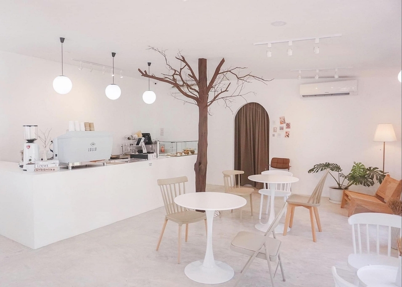 [hkolu8ik, ban leng coffee, bangjiam backyard cafe, bix cafe, cafe phuket, campus coffee roaster, cheevit cheeva, coming home cafe, coming home cafe & seascape, cozy cafe phuket, day & night of phuket, hohiho phuket, hohiho restaurant & cafe phuket, hommori, hosay bowl, hosay bowl phuket town, jule cafe, jule coffee co, lay cafe phuket, ma doo bua cafe, phuket view point cafe, pink cafe phuket, refresh cafe, roôf pudding & cafe, samutr bar, sea clam cafe & bistro, smile bar, smile restaurant, starbucks arinara, tarzan seaside cafe, the beach by starbucks, the cozy cafe phuket, the ruby sea cafe, tree monkeys restaurant, waylany kids cafe, คาเฟ่ สี, คาเฟ่ ใกล้ฉัน, คาเฟ่จังหวัดภูเก็ต, คาเฟ่ต้นไม้, คาเฟ่ภูเก็ต, คาเฟ่ภูเก็ต 2023, คาเฟ่ภูเก็ต 2566, คาเฟ่ริมทะเลภูเก็ต, คาเฟ่ลับภูเก็ต, คาเฟ่เปิดใหม่, คาเฟ่เปิดใหม่ภูเก็ต, คาเฟ่ใกล้ฉัน, คาเฟ่ในภูเก็ต, คาเฟ่ในภูเก็ต 2023, คาเฟ่ในภูเก็ต 2566, ชีวิตชีวา คาเฟ่, ทรีมังกี้ส์, บ้านสีครามคาเฟ่, บ้านเลงคาเฟ่, ภูเก็ต, มาดูบัว คาเฟ่, ย่านเมืองเก่าภูเก็ต, สตาร์บัคริมทะเล, สมุทรบาร์, โฮมโมริ, top 25+ คาเฟ่ภูเก็ต [กรกฎาคม 2024] ชิมอาหารรสเด็ด ดื่มกาแฟดี ท่ามกลางบรรยากาศสุดชิลล์บนเกาะ