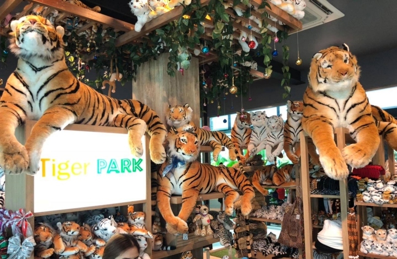 alpaca hill, bonanza exotic zoo, huahin safari & adventure park, korat zoo, pattaya sheep farm, safari park, safari world, sriayuthaya lion park, tiger park, ซาฟารี, ซาฟารี ปาร์ค, ซาฟารีกาญจนบุรี, ซาฟารีปาร์ค แอนด์ แคมป์, ซาฟารีเวิลด์, ฟาร์มแกะพัทยา, ศรีอยุธยา ไลอ้อนปาร์ค, สวนสัตว์, สวนสัตว์ 2024, สวนสัตว์ 2567, สวนสัตว์นครราชสีมา, สวนสัตว์ราชบุรี, สวนสัตว์อยุธยา, สวนสัตว์เปิด, สวนสัตว์เปิดเขาเขียว, สวนสัตว์โคราช, สวนสัตว์โบนันซ่า, สวนสัตว์ใกล้กทม., สวนสัตว์ใกล้กรุงเทพ, สวนสัตว์ใกล้กรุงเทพ 2024, สวนสัตว์ใกล้กรุงเทพ 2567, สวนเสือ, สวนเสือพัทยา, หัวหินซาฟารี, อัลปาก้าฮิลล์, เที่ยวสวนสัตว์, เที่ยวสวนสัตว์ 2024, เที่ยวสวนสัตว์ 2567, top 10+ สวนสัตว์ใกล้กรุงเทพ [กรกฎาคม 2024] สนุก เพลิดเพลินได้ทุกวัย ผจญภัยไปกับเหล่าสัตว์ป่า