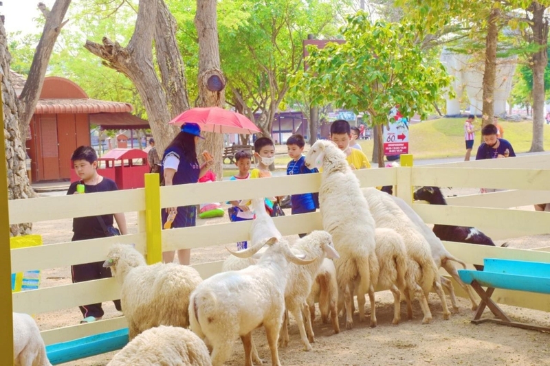 alpaca hill, bonanza exotic zoo, huahin safari & adventure park, korat zoo, pattaya sheep farm, safari park, safari world, sriayuthaya lion park, tiger park, ซาฟารี, ซาฟารี ปาร์ค, ซาฟารีกาญจนบุรี, ซาฟารีปาร์ค แอนด์ แคมป์, ซาฟารีเวิลด์, ฟาร์มแกะพัทยา, ศรีอยุธยา ไลอ้อนปาร์ค, สวนสัตว์, สวนสัตว์ 2024, สวนสัตว์ 2567, สวนสัตว์นครราชสีมา, สวนสัตว์ราชบุรี, สวนสัตว์อยุธยา, สวนสัตว์เปิด, สวนสัตว์เปิดเขาเขียว, สวนสัตว์โคราช, สวนสัตว์โบนันซ่า, สวนสัตว์ใกล้กทม., สวนสัตว์ใกล้กรุงเทพ, สวนสัตว์ใกล้กรุงเทพ 2024, สวนสัตว์ใกล้กรุงเทพ 2567, สวนเสือ, สวนเสือพัทยา, หัวหินซาฟารี, อัลปาก้าฮิลล์, เที่ยวสวนสัตว์, เที่ยวสวนสัตว์ 2024, เที่ยวสวนสัตว์ 2567, top 10+ สวนสัตว์ใกล้กรุงเทพ [กรกฎาคม 2024] สนุก เพลิดเพลินได้ทุกวัย ผจญภัยไปกับเหล่าสัตว์ป่า