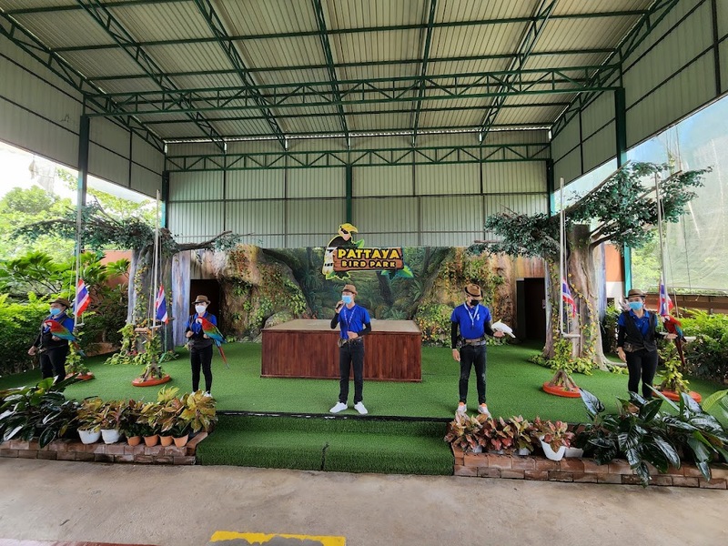 alpaca hill, bonanza exotic zoo, huahin safari & adventure park, korat zoo, pattaya sheep farm, safari park, safari world, sriayuthaya lion park, tiger park, ซาฟารี, ซาฟารี ปาร์ค, ซาฟารีกาญจนบุรี, ซาฟารีปาร์ค แอนด์ แคมป์, ซาฟารีเวิลด์, ฟาร์มแกะพัทยา, ศรีอยุธยา ไลอ้อนปาร์ค, สวนสัตว์, สวนสัตว์ 2024, สวนสัตว์ 2567, สวนสัตว์นครราชสีมา, สวนสัตว์ราชบุรี, สวนสัตว์อยุธยา, สวนสัตว์เปิด, สวนสัตว์เปิดเขาเขียว, สวนสัตว์โคราช, สวนสัตว์โบนันซ่า, สวนสัตว์ใกล้กทม., สวนสัตว์ใกล้กรุงเทพ, สวนสัตว์ใกล้กรุงเทพ 2024, สวนสัตว์ใกล้กรุงเทพ 2567, สวนเสือ, สวนเสือพัทยา, หัวหินซาฟารี, อัลปาก้าฮิลล์, เที่ยวสวนสัตว์, เที่ยวสวนสัตว์ 2024, เที่ยวสวนสัตว์ 2567, top 10+ สวนสัตว์ใกล้กรุงเทพ [กรกฎาคม 2024] สนุก เพลิดเพลินได้ทุกวัย ผจญภัยไปกับเหล่าสัตว์ป่า