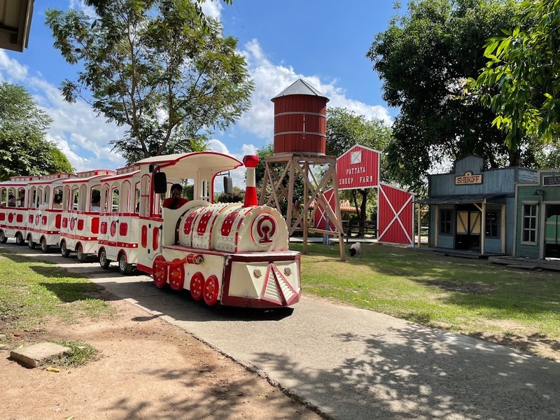 alpaca hill, bonanza exotic zoo, huahin safari & adventure park, korat zoo, pattaya sheep farm, safari park, safari world, sriayuthaya lion park, tiger park, ซาฟารี, ซาฟารี ปาร์ค, ซาฟารีกาญจนบุรี, ซาฟารีปาร์ค แอนด์ แคมป์, ซาฟารีเวิลด์, ฟาร์มแกะพัทยา, ศรีอยุธยา ไลอ้อนปาร์ค, สวนสัตว์, สวนสัตว์ 2024, สวนสัตว์ 2567, สวนสัตว์นครราชสีมา, สวนสัตว์ราชบุรี, สวนสัตว์อยุธยา, สวนสัตว์เปิด, สวนสัตว์เปิดเขาเขียว, สวนสัตว์โคราช, สวนสัตว์โบนันซ่า, สวนสัตว์ใกล้กทม., สวนสัตว์ใกล้กรุงเทพ, สวนสัตว์ใกล้กรุงเทพ 2024, สวนสัตว์ใกล้กรุงเทพ 2567, สวนเสือ, สวนเสือพัทยา, หัวหินซาฟารี, อัลปาก้าฮิลล์, เที่ยวสวนสัตว์, เที่ยวสวนสัตว์ 2024, เที่ยวสวนสัตว์ 2567, top 10+ สวนสัตว์ใกล้กรุงเทพ [กรกฎาคม 2024] สนุก เพลิดเพลินได้ทุกวัย ผจญภัยไปกับเหล่าสัตว์ป่า