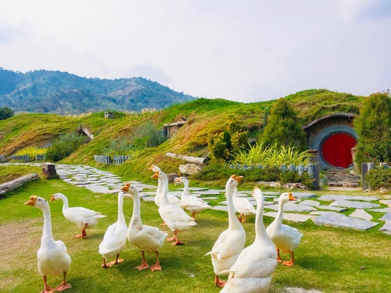 alpaca hill, bonanza exotic zoo, huahin safari & adventure park, korat zoo, pattaya sheep farm, safari park, safari world, sriayuthaya lion park, tiger park, ซาฟารี, ซาฟารี ปาร์ค, ซาฟารีกาญจนบุรี, ซาฟารีปาร์ค แอนด์ แคมป์, ซาฟารีเวิลด์, ฟาร์มแกะพัทยา, ศรีอยุธยา ไลอ้อนปาร์ค, สวนสัตว์, สวนสัตว์ 2024, สวนสัตว์ 2567, สวนสัตว์นครราชสีมา, สวนสัตว์ราชบุรี, สวนสัตว์อยุธยา, สวนสัตว์เปิด, สวนสัตว์เปิดเขาเขียว, สวนสัตว์โคราช, สวนสัตว์โบนันซ่า, สวนสัตว์ใกล้กทม., สวนสัตว์ใกล้กรุงเทพ, สวนสัตว์ใกล้กรุงเทพ 2024, สวนสัตว์ใกล้กรุงเทพ 2567, สวนเสือ, สวนเสือพัทยา, หัวหินซาฟารี, อัลปาก้าฮิลล์, เที่ยวสวนสัตว์, เที่ยวสวนสัตว์ 2024, เที่ยวสวนสัตว์ 2567, top 10+ สวนสัตว์ใกล้กรุงเทพ [กรกฎาคม 2024] สนุก เพลิดเพลินได้ทุกวัย ผจญภัยไปกับเหล่าสัตว์ป่า