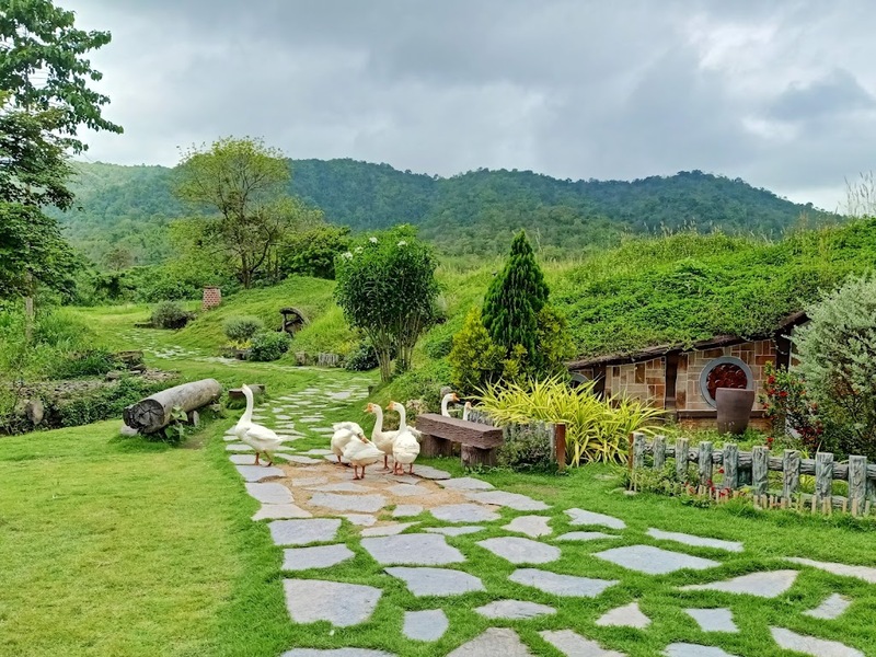 alpaca hill, bonanza exotic zoo, huahin safari & adventure park, korat zoo, pattaya sheep farm, safari park, safari world, sriayuthaya lion park, tiger park, ซาฟารี, ซาฟารี ปาร์ค, ซาฟารีกาญจนบุรี, ซาฟารีปาร์ค แอนด์ แคมป์, ซาฟารีเวิลด์, ฟาร์มแกะพัทยา, ศรีอยุธยา ไลอ้อนปาร์ค, สวนสัตว์, สวนสัตว์ 2024, สวนสัตว์ 2567, สวนสัตว์นครราชสีมา, สวนสัตว์ราชบุรี, สวนสัตว์อยุธยา, สวนสัตว์เปิด, สวนสัตว์เปิดเขาเขียว, สวนสัตว์โคราช, สวนสัตว์โบนันซ่า, สวนสัตว์ใกล้กทม., สวนสัตว์ใกล้กรุงเทพ, สวนสัตว์ใกล้กรุงเทพ 2024, สวนสัตว์ใกล้กรุงเทพ 2567, สวนเสือ, สวนเสือพัทยา, หัวหินซาฟารี, อัลปาก้าฮิลล์, เที่ยวสวนสัตว์, เที่ยวสวนสัตว์ 2024, เที่ยวสวนสัตว์ 2567, top 10+ สวนสัตว์ใกล้กรุงเทพ [กรกฎาคม 2024] สนุก เพลิดเพลินได้ทุกวัย ผจญภัยไปกับเหล่าสัตว์ป่า
