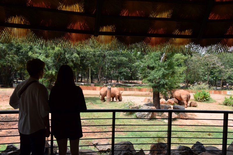 alpaca hill, bonanza exotic zoo, huahin safari & adventure park, korat zoo, pattaya sheep farm, safari park, safari world, sriayuthaya lion park, tiger park, ซาฟารี, ซาฟารี ปาร์ค, ซาฟารีกาญจนบุรี, ซาฟารีปาร์ค แอนด์ แคมป์, ซาฟารีเวิลด์, ฟาร์มแกะพัทยา, ศรีอยุธยา ไลอ้อนปาร์ค, สวนสัตว์, สวนสัตว์ 2024, สวนสัตว์ 2567, สวนสัตว์นครราชสีมา, สวนสัตว์ราชบุรี, สวนสัตว์อยุธยา, สวนสัตว์เปิด, สวนสัตว์เปิดเขาเขียว, สวนสัตว์โคราช, สวนสัตว์โบนันซ่า, สวนสัตว์ใกล้กทม., สวนสัตว์ใกล้กรุงเทพ, สวนสัตว์ใกล้กรุงเทพ 2024, สวนสัตว์ใกล้กรุงเทพ 2567, สวนเสือ, สวนเสือพัทยา, หัวหินซาฟารี, อัลปาก้าฮิลล์, เที่ยวสวนสัตว์, เที่ยวสวนสัตว์ 2024, เที่ยวสวนสัตว์ 2567, top 10+ สวนสัตว์ใกล้กรุงเทพ [กรกฎาคม 2024] สนุก เพลิดเพลินได้ทุกวัย ผจญภัยไปกับเหล่าสัตว์ป่า