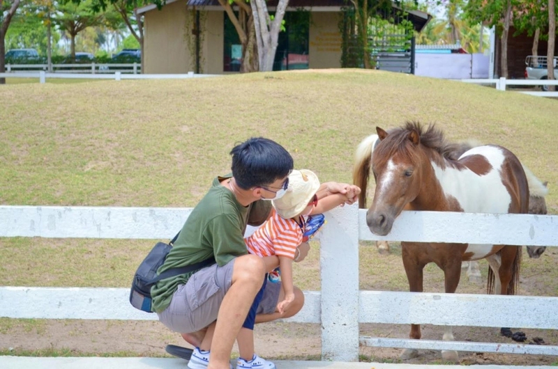 alpaca hill, bonanza exotic zoo, huahin safari & adventure park, korat zoo, pattaya sheep farm, safari park, safari world, sriayuthaya lion park, tiger park, ซาฟารี, ซาฟารี ปาร์ค, ซาฟารีกาญจนบุรี, ซาฟารีปาร์ค แอนด์ แคมป์, ซาฟารีเวิลด์, ฟาร์มแกะพัทยา, ศรีอยุธยา ไลอ้อนปาร์ค, สวนสัตว์, สวนสัตว์ 2024, สวนสัตว์ 2567, สวนสัตว์นครราชสีมา, สวนสัตว์ราชบุรี, สวนสัตว์อยุธยา, สวนสัตว์เปิด, สวนสัตว์เปิดเขาเขียว, สวนสัตว์โคราช, สวนสัตว์โบนันซ่า, สวนสัตว์ใกล้กทม., สวนสัตว์ใกล้กรุงเทพ, สวนสัตว์ใกล้กรุงเทพ 2024, สวนสัตว์ใกล้กรุงเทพ 2567, สวนเสือ, สวนเสือพัทยา, หัวหินซาฟารี, อัลปาก้าฮิลล์, เที่ยวสวนสัตว์, เที่ยวสวนสัตว์ 2024, เที่ยวสวนสัตว์ 2567, top 10+ สวนสัตว์ใกล้กรุงเทพ [กรกฎาคม 2024] สนุก เพลิดเพลินได้ทุกวัย ผจญภัยไปกับเหล่าสัตว์ป่า