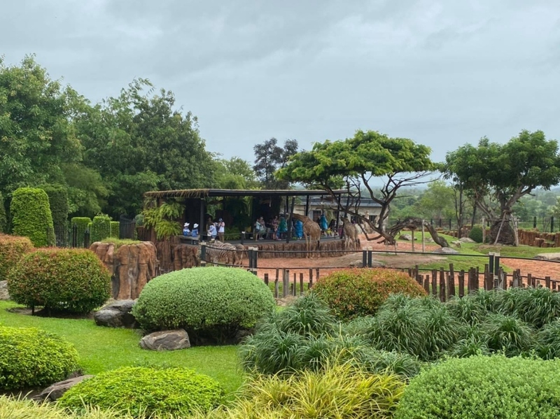 alpaca hill, bonanza exotic zoo, huahin safari & adventure park, korat zoo, pattaya sheep farm, safari park, safari world, sriayuthaya lion park, tiger park, ซาฟารี, ซาฟารี ปาร์ค, ซาฟารีกาญจนบุรี, ซาฟารีปาร์ค แอนด์ แคมป์, ซาฟารีเวิลด์, ฟาร์มแกะพัทยา, ศรีอยุธยา ไลอ้อนปาร์ค, สวนสัตว์, สวนสัตว์ 2024, สวนสัตว์ 2567, สวนสัตว์นครราชสีมา, สวนสัตว์ราชบุรี, สวนสัตว์อยุธยา, สวนสัตว์เปิด, สวนสัตว์เปิดเขาเขียว, สวนสัตว์โคราช, สวนสัตว์โบนันซ่า, สวนสัตว์ใกล้กทม., สวนสัตว์ใกล้กรุงเทพ, สวนสัตว์ใกล้กรุงเทพ 2024, สวนสัตว์ใกล้กรุงเทพ 2567, สวนเสือ, สวนเสือพัทยา, หัวหินซาฟารี, อัลปาก้าฮิลล์, เที่ยวสวนสัตว์, เที่ยวสวนสัตว์ 2024, เที่ยวสวนสัตว์ 2567, top 10+ สวนสัตว์ใกล้กรุงเทพ [กรกฎาคม 2024] สนุก เพลิดเพลินได้ทุกวัย ผจญภัยไปกับเหล่าสัตว์ป่า