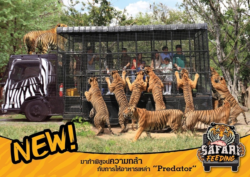 alpaca hill, bonanza exotic zoo, huahin safari & adventure park, korat zoo, pattaya sheep farm, safari park, safari world, sriayuthaya lion park, tiger park, ซาฟารี, ซาฟารี ปาร์ค, ซาฟารีกาญจนบุรี, ซาฟารีปาร์ค แอนด์ แคมป์, ซาฟารีเวิลด์, ฟาร์มแกะพัทยา, ศรีอยุธยา ไลอ้อนปาร์ค, สวนสัตว์, สวนสัตว์ 2024, สวนสัตว์ 2567, สวนสัตว์นครราชสีมา, สวนสัตว์ราชบุรี, สวนสัตว์อยุธยา, สวนสัตว์เปิด, สวนสัตว์เปิดเขาเขียว, สวนสัตว์โคราช, สวนสัตว์โบนันซ่า, สวนสัตว์ใกล้กทม., สวนสัตว์ใกล้กรุงเทพ, สวนสัตว์ใกล้กรุงเทพ 2024, สวนสัตว์ใกล้กรุงเทพ 2567, สวนเสือ, สวนเสือพัทยา, หัวหินซาฟารี, อัลปาก้าฮิลล์, เที่ยวสวนสัตว์, เที่ยวสวนสัตว์ 2024, เที่ยวสวนสัตว์ 2567, top 10+ สวนสัตว์ใกล้กรุงเทพ [กรกฎาคม 2024] สนุก เพลิดเพลินได้ทุกวัย ผจญภัยไปกับเหล่าสัตว์ป่า